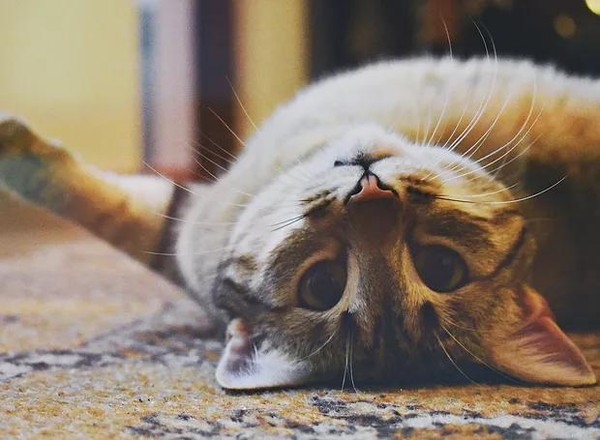 5 ideias de títulos