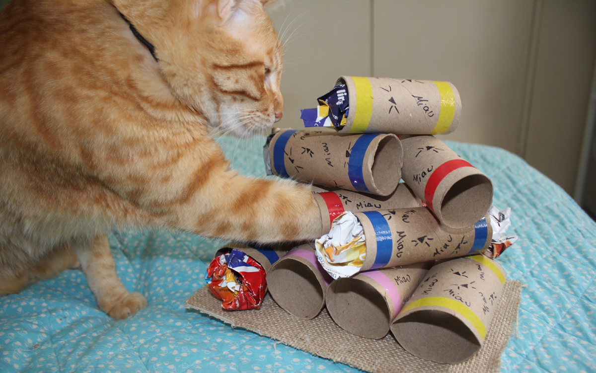 5 ideias de títulos