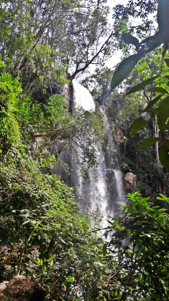 Trilha da Cachoeira do Tororó: Dicas e Informações Essenciais