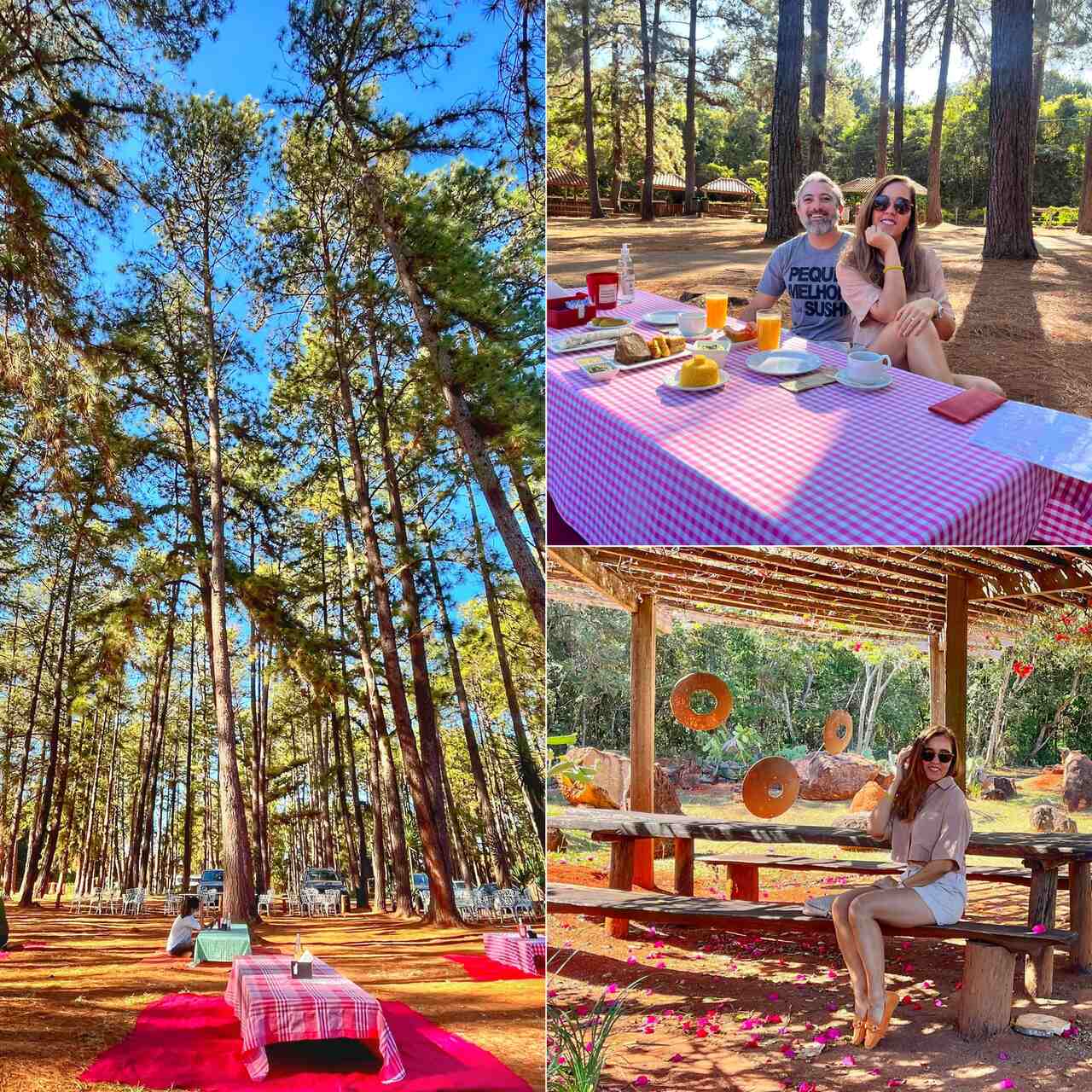 Guia Completo de Brunchs em Brasília