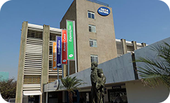 A Importância do Riso na Cultura: Destaques da Exposição 'O Reinado do Riso' em Brasília