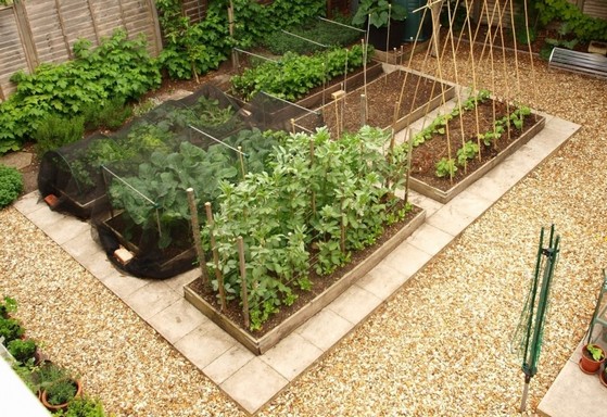 Guia Completo: Como e Quando Usar Calcário na Sua Horta Caseira; Calcário Dolomítico: O Segredo para Hortaliças Mais Fortes e Produtivas; Desvende os Benefícios do Calcário para a Saúde do Seu Solo e Plantas; Passo a Passo: Aplicando Calcário em Vasos e Canteiros da Sua Horta; Acidez do Solo: Como o Calcário Transforma Sua Horta e Aumenta a Colheita