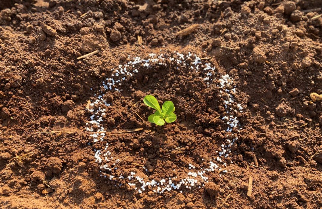 calcário para solo de horta para que serve