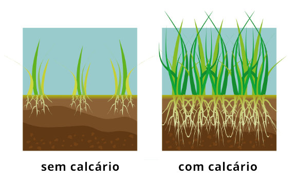 calcário para solo de horta para que serve