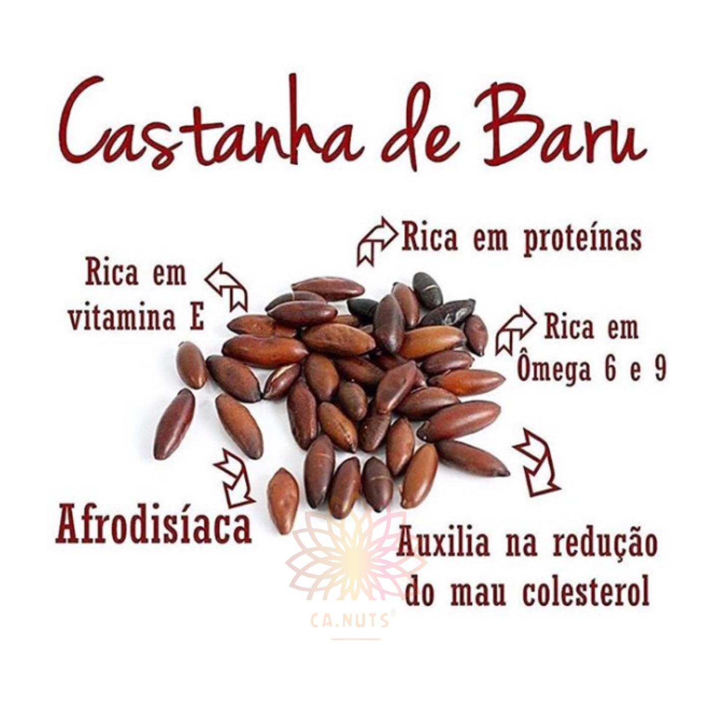 5 Receitas Deliciosas com Castanha de Baru