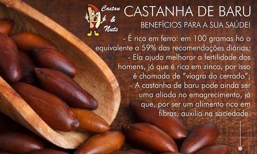 Como Torrar Castanha de Baru em Casa para Máximo Sabor