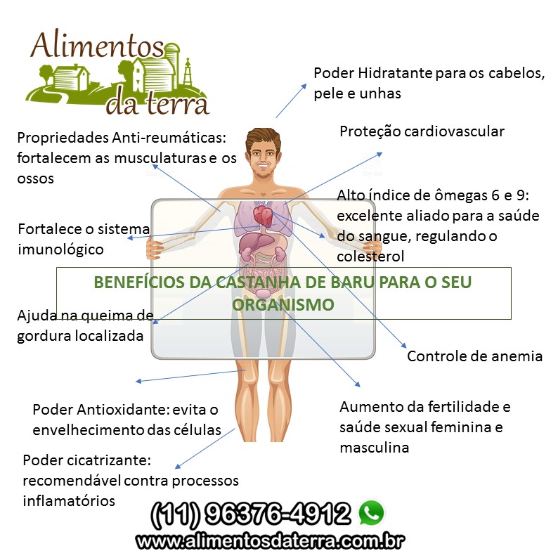 5 Receitas Deliciosas com Castanha de Baru