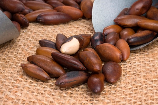 Castanha de Baru vs. Castanha do Pará: Qual a Melhor?