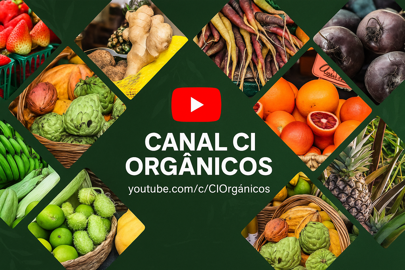 certificação participativa orgânica spg