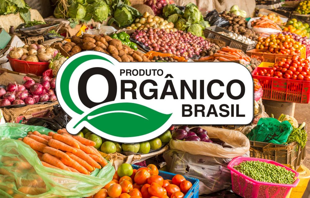 Os Benefícios da Certificação Participativa para Pequenos Produtores Rurais