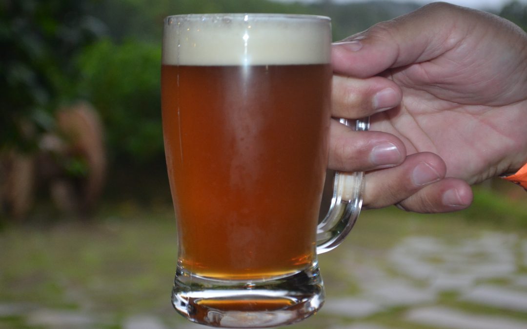 Como funciona uma visita guiada em cervejaria