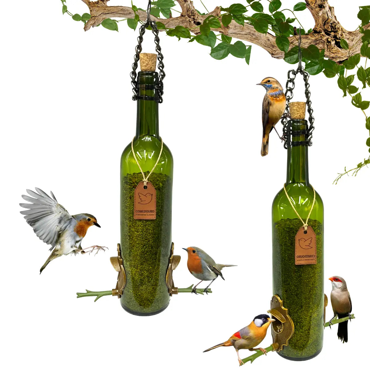 Como Montar um Beija-Flor no Seu Jardim