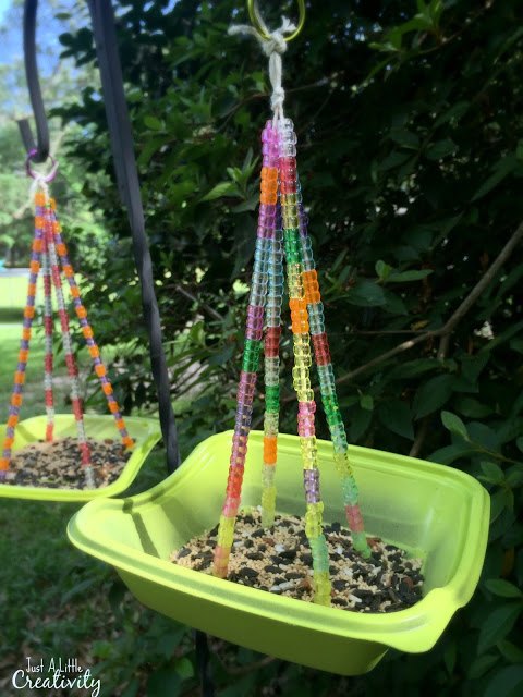 A Importância dos Comedouros para a Biodiversidade Urbana