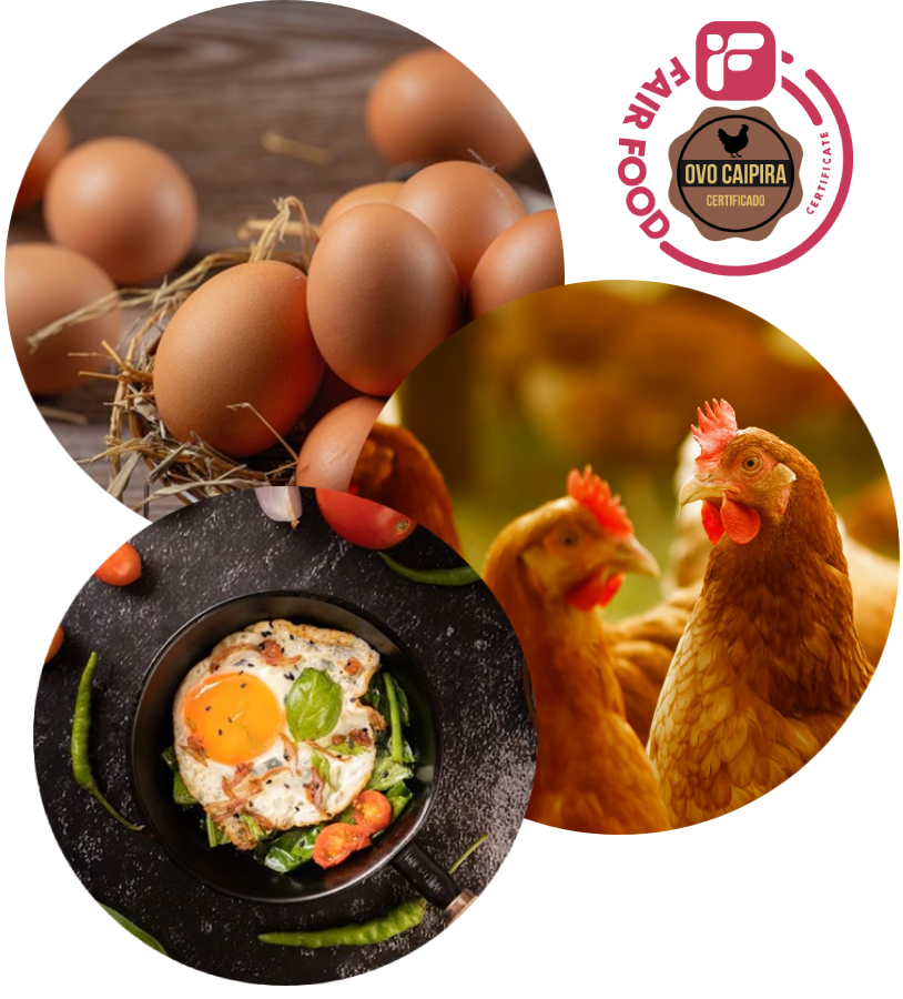 A Importância do Entreposto de Ovos para a Qualidade e Segurança Alimentar