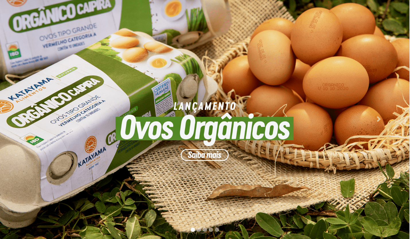 Bem-Estar Animal na Produção de Ovos: O Que Diz a Lei?