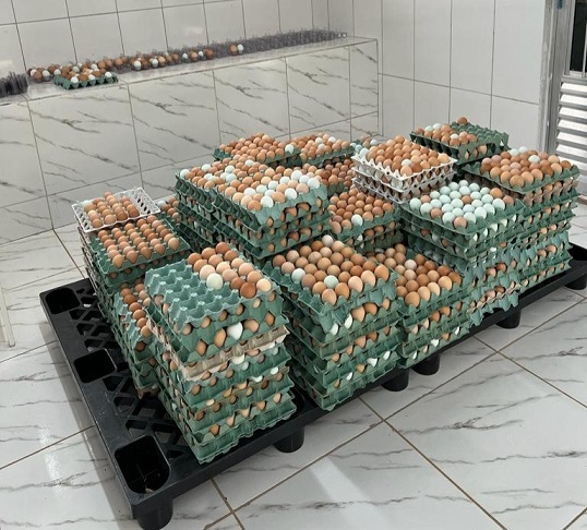 Desmistificando a Rotulagem de Ovos Caipiras: Novas Regras e Dicas