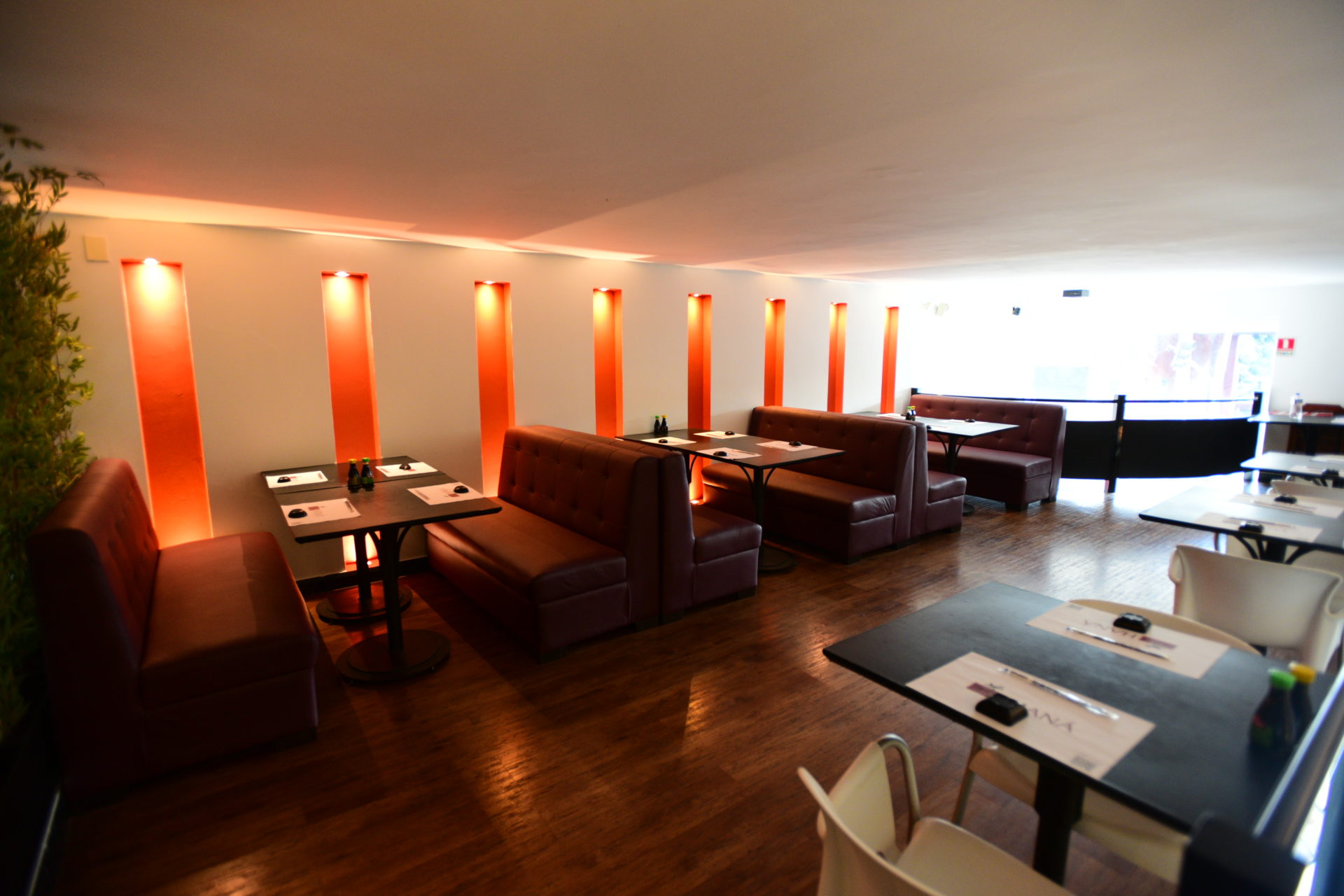 Comida Japonesa Rápida e Deliciosa: Opções na Asa Sul