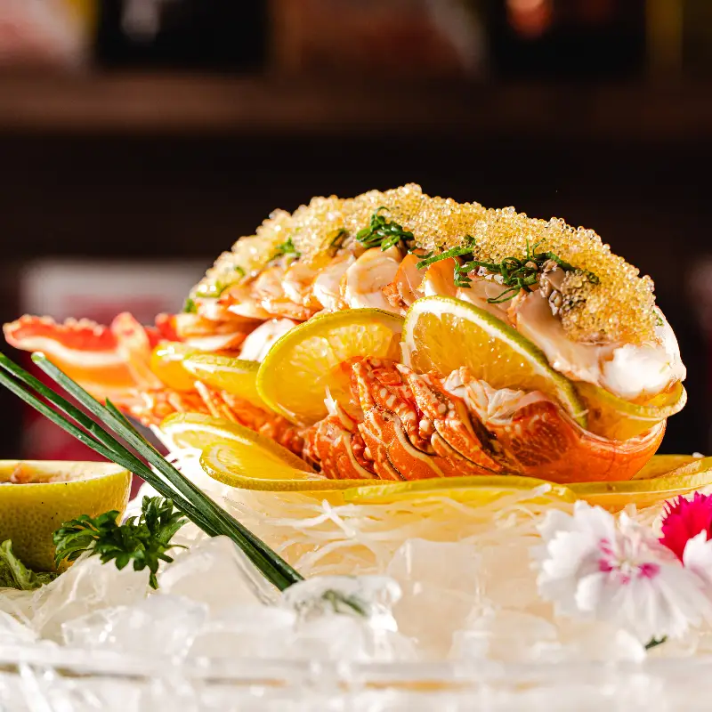 Experiências Imersivas: Onde Comer com Aquário em Brasília