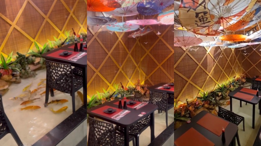 comida japonesa brasília asa sul