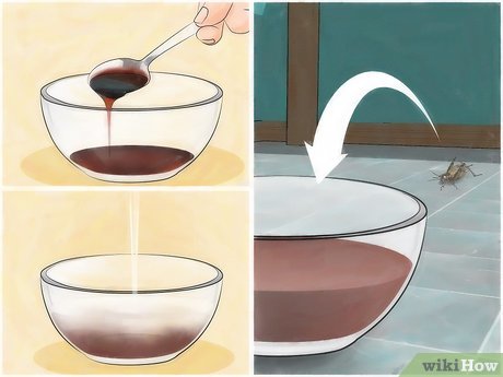 como acabar com grilos na horta