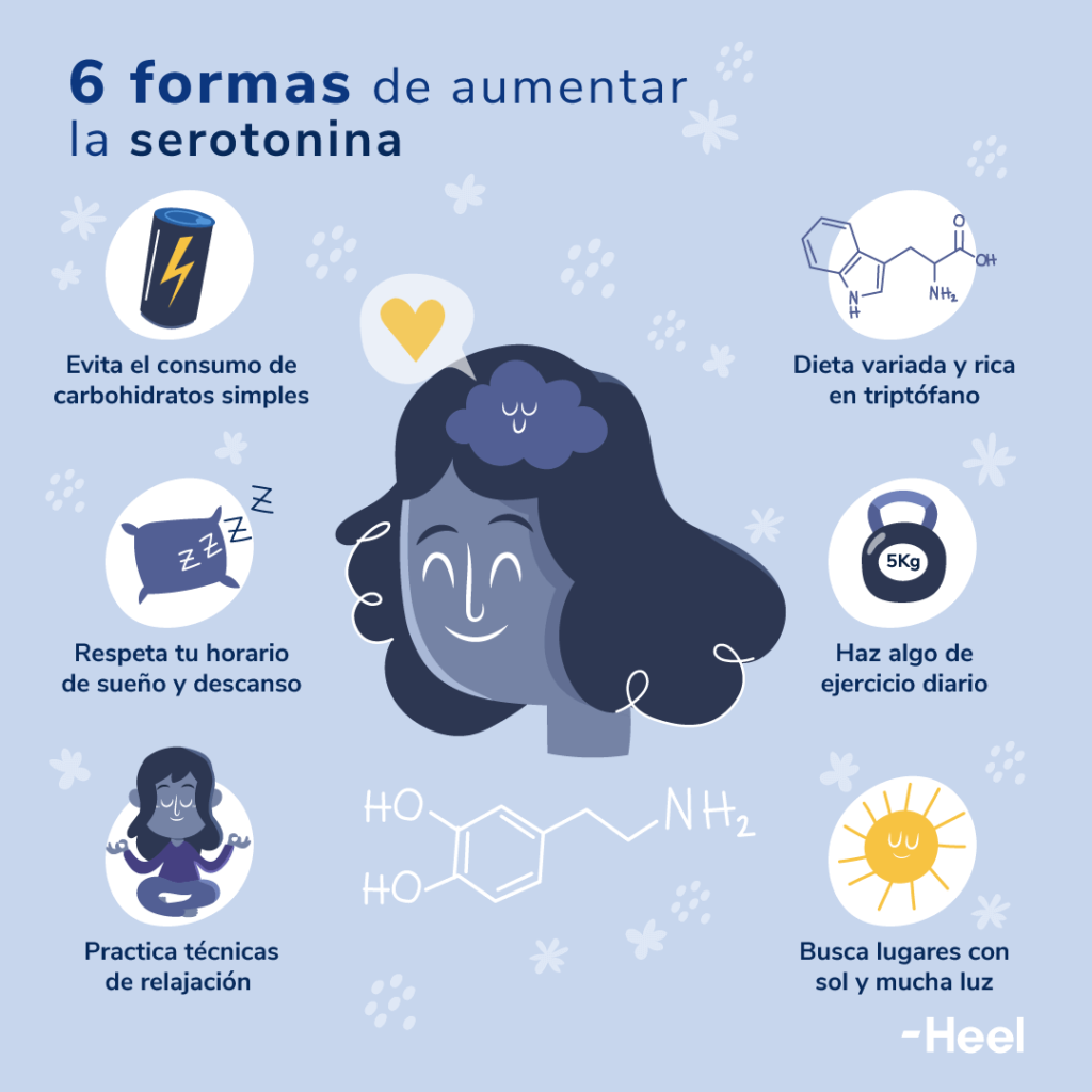 10 Alimentos Ricos em Triptofano para Elevar seu Humor