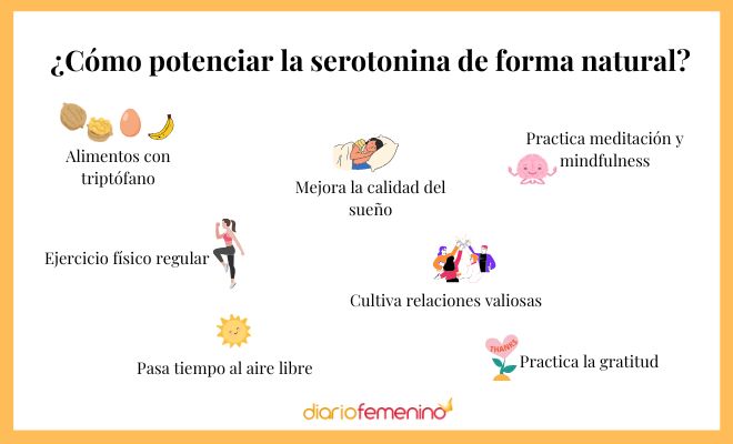 A Importância da Saúde Intestinal para a Produção de Serotonina