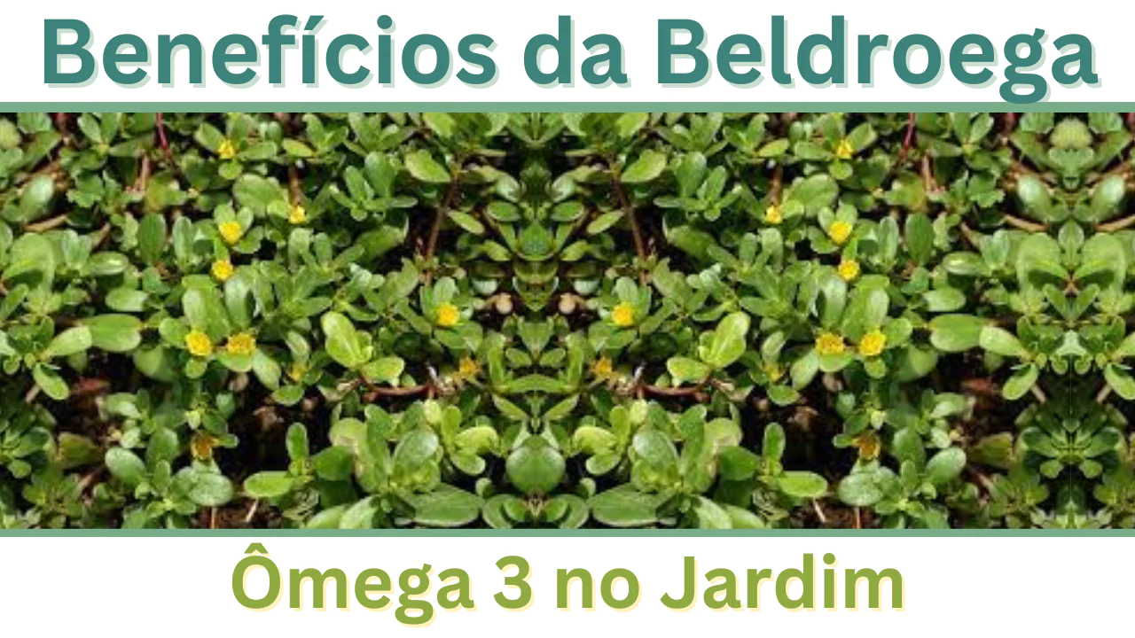 Guia Completo: Como Plantar e Cuidar de Beldroega em Vasos