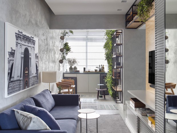 O poder das plantas na decoração de salas baratas