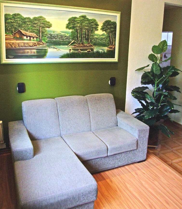 O poder das plantas na decoração de salas baratas