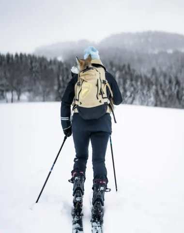 Guia Completo de Equipamentos para Esqui de Fundo