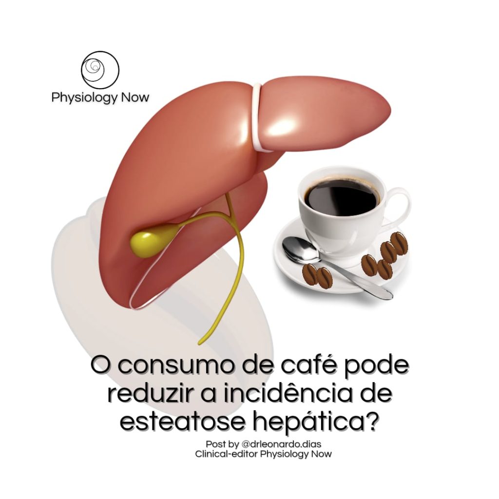 Os Melhores Chás para Substituir o Café