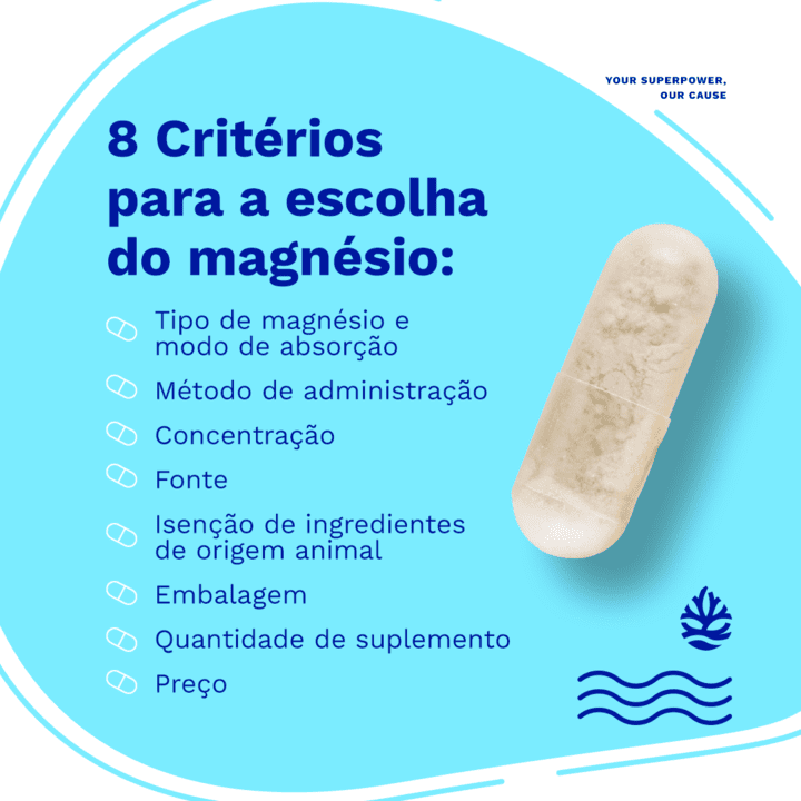 Aditivos e o Que Realmente Importa