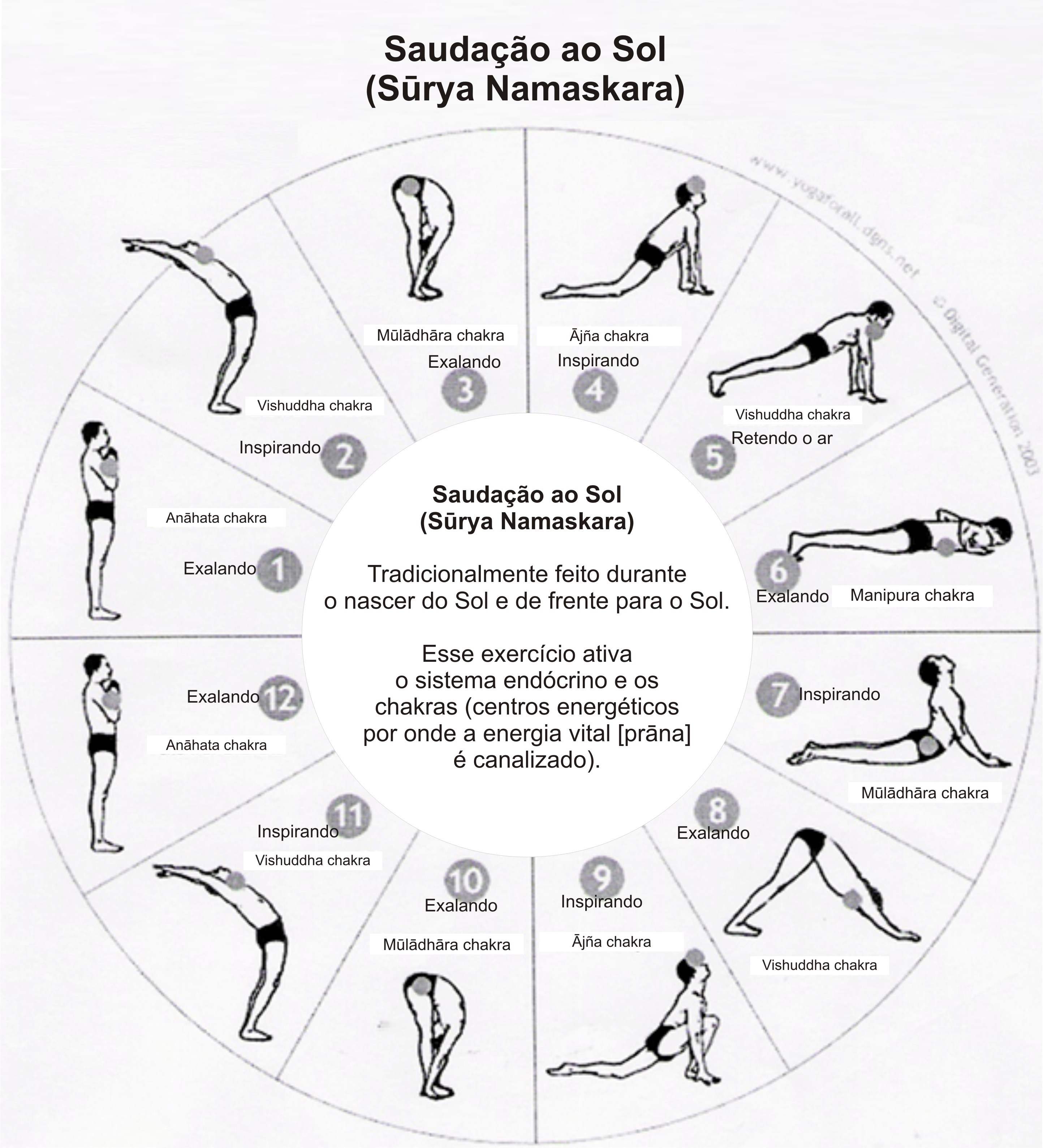 5 ideias de títulos:
1. Saudação ao Sol para Iniciantes: Guia Completo de Surya Namaskar
2. Os 12 Benefícios Incríveis da Saudação ao Sol no Yoga
3. Surya Namaskar: Como Adaptar a Saudação ao Sol para Sua Prática
4. A Ciência por Trás da Saudação ao Sol: Sincronizando Corpo e Mente
5. Desvendando a Saudação ao Sol: Um Ritual Energizante para o Dia a Dia