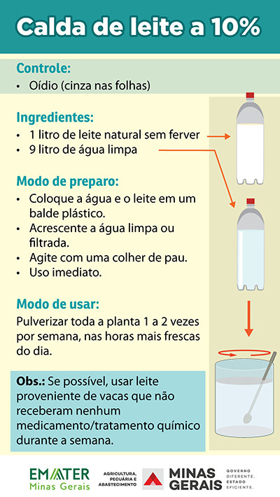 como fazer calda sulfocálcica caseira