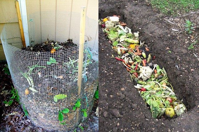 Benefícios da compostagem para o meio ambiente