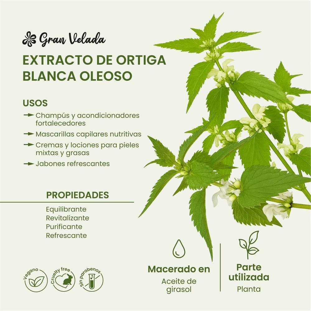 5 usos da urtiga na jardinagem