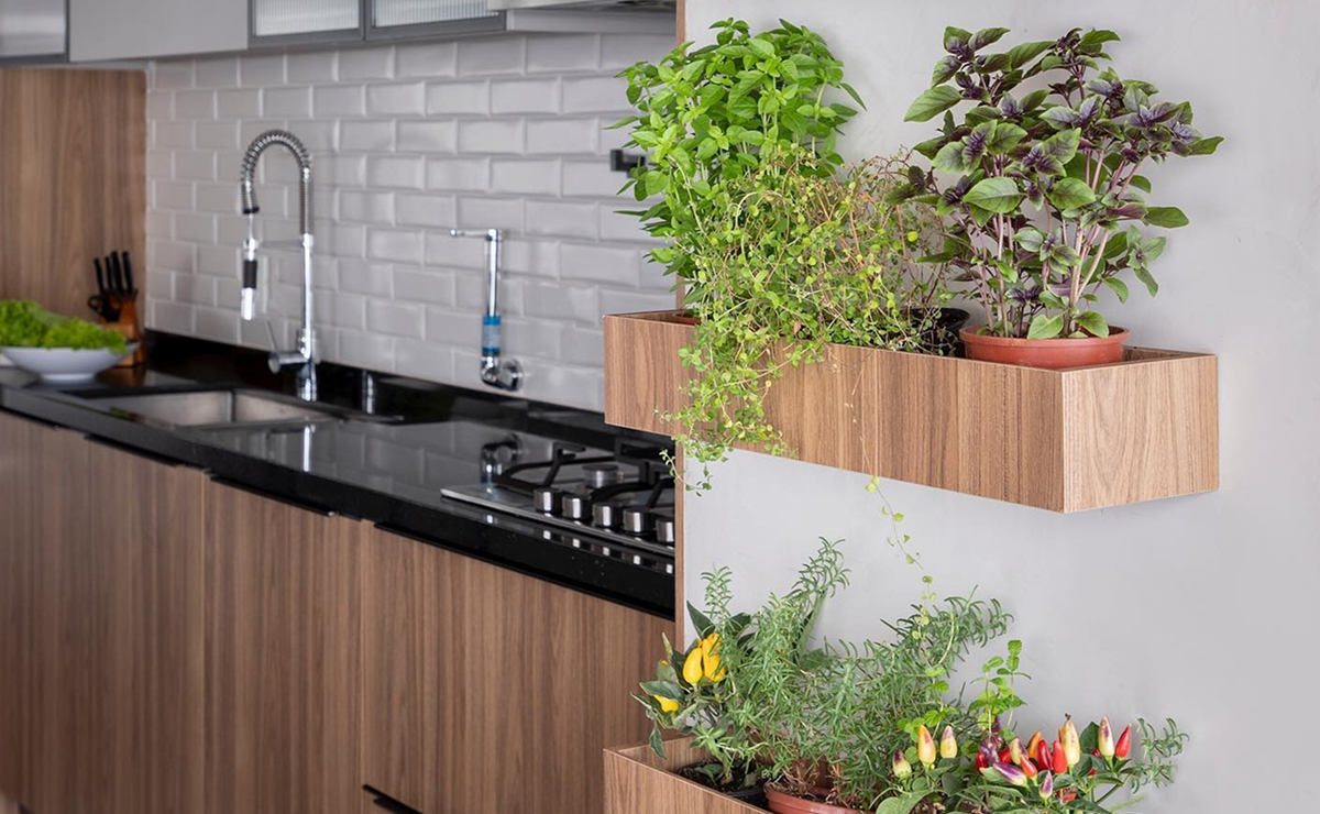 como fazer horta de temperos na cozinha