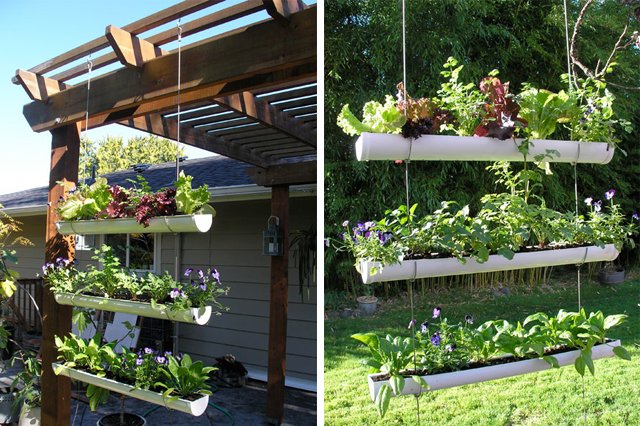 10 temperos fáceis de cultivar em horta de PVC