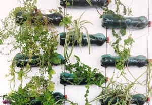 como fazer horta suspensa com garrafa pet
