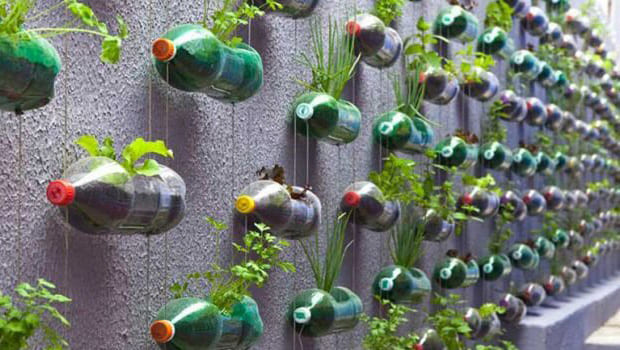 5 ideias de títulos:
1. Horta Suspensa com Garrafa PET: Guia Completo para Iniciantes
2. Transforme Lixo em Alimento: Como Fazer sua Horta Reciclada
3. Cultivo Inteligente: Dicas para uma Horta Vertical Eficiente
4. O Que Plantar na Horta de Garrafa PET? Guia de Culturas
5. Horta Autoirrigável com Garrafa PET: Mantenha suas Plantas Saudáveis