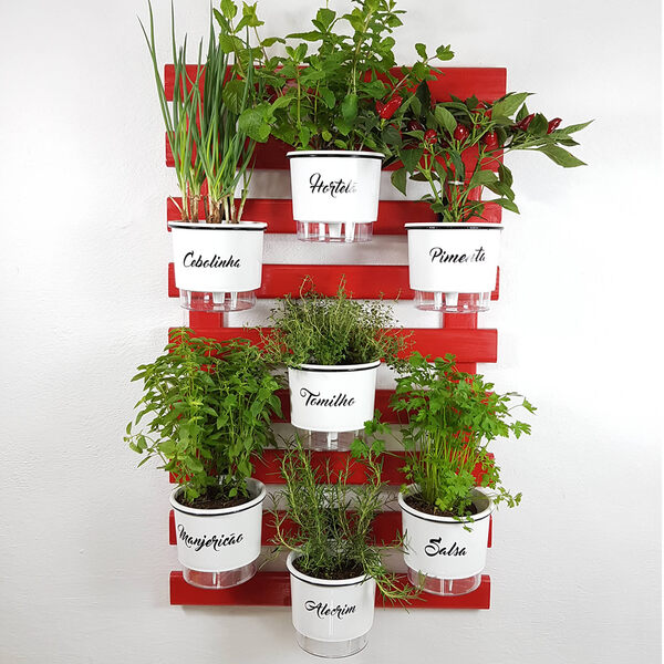 As melhores plantas para cultivar em hortas verticais