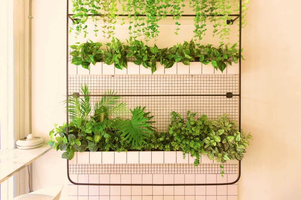 5 tipos de plantas ideais para horta vertical de metal