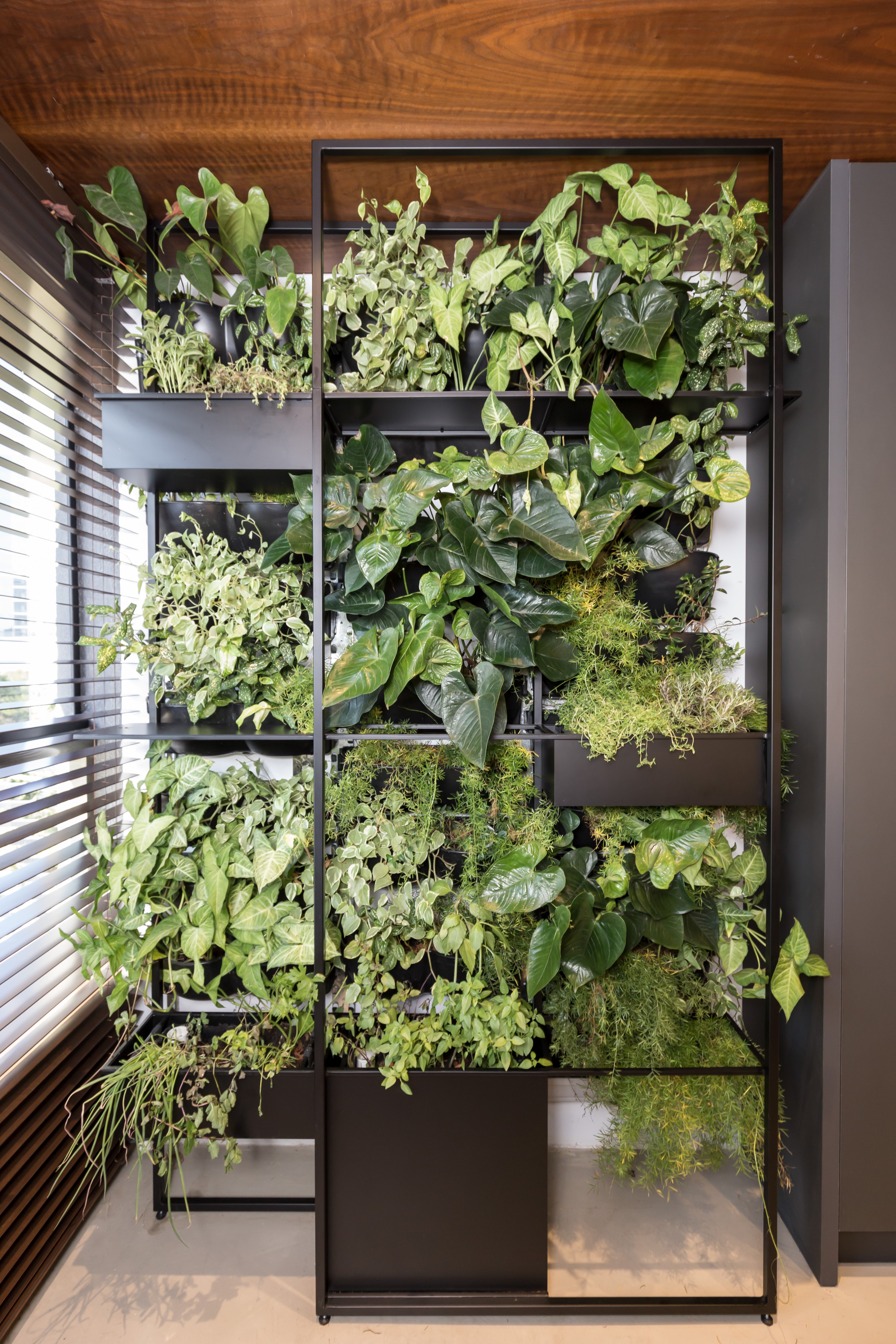 Dicas de irrigação para hortas verticais de metal