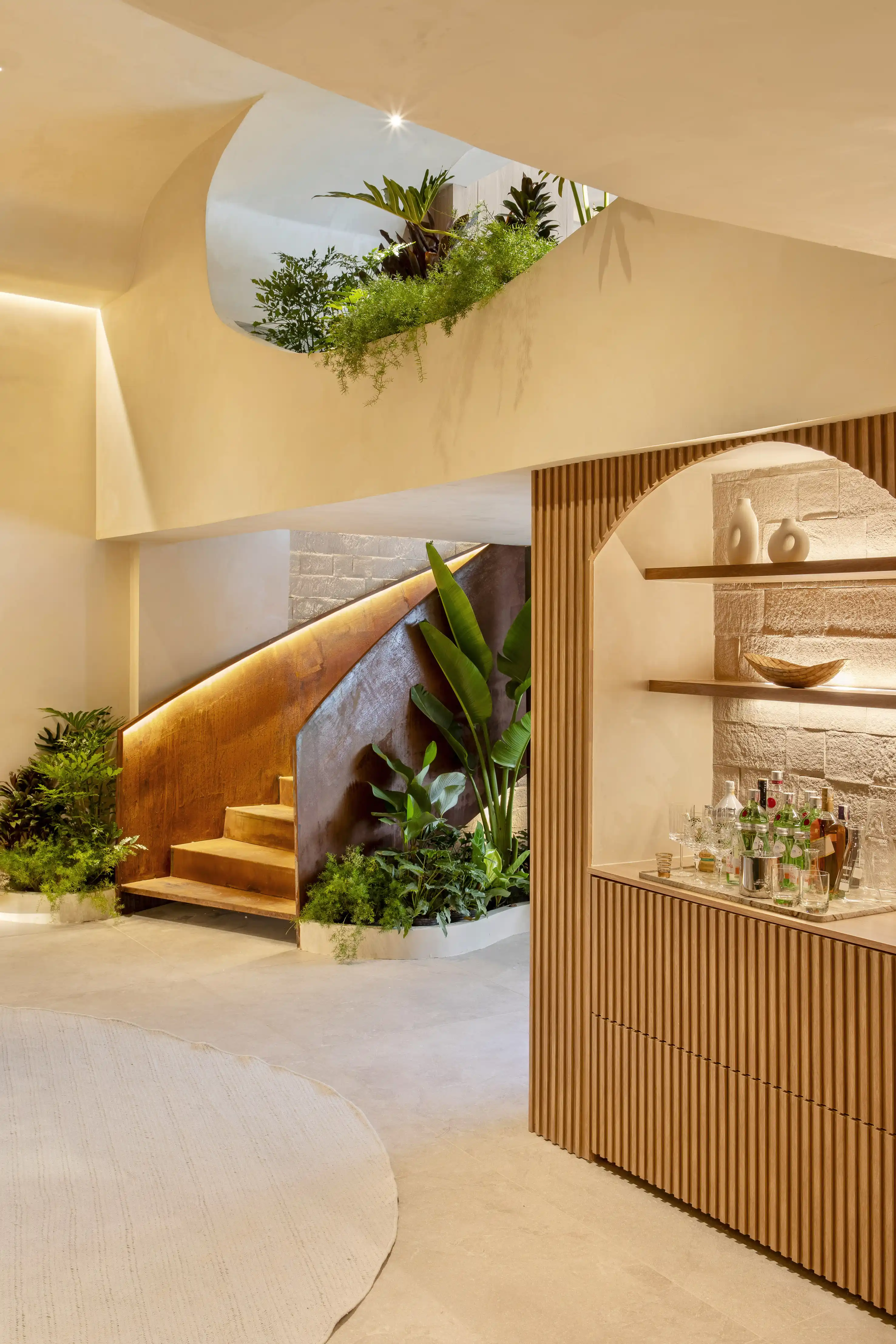 Guia Completo: Plantas de Sombra e Meia-Sombra para Ambientes Internos