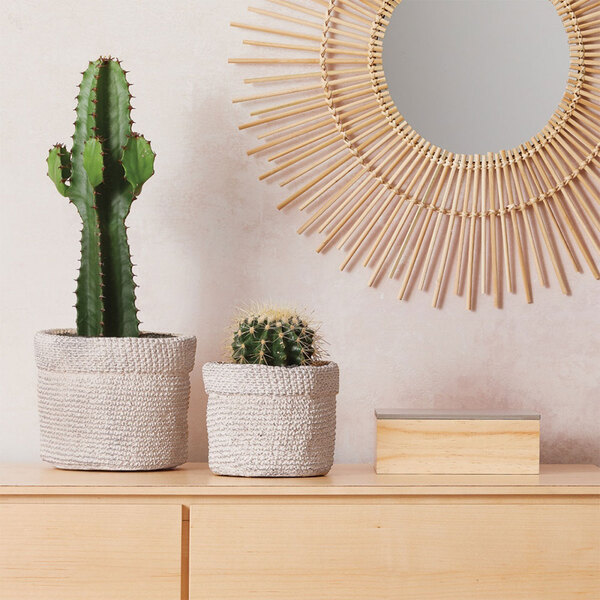 Como Tratar o Bambu para Maior Durabilidade em Projetos DIY