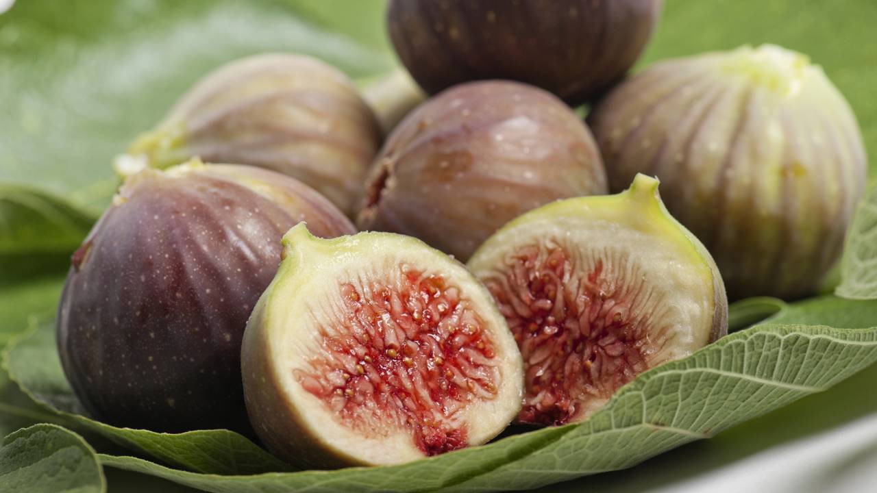 Métodos de enraizamento: água vs. terra para figo