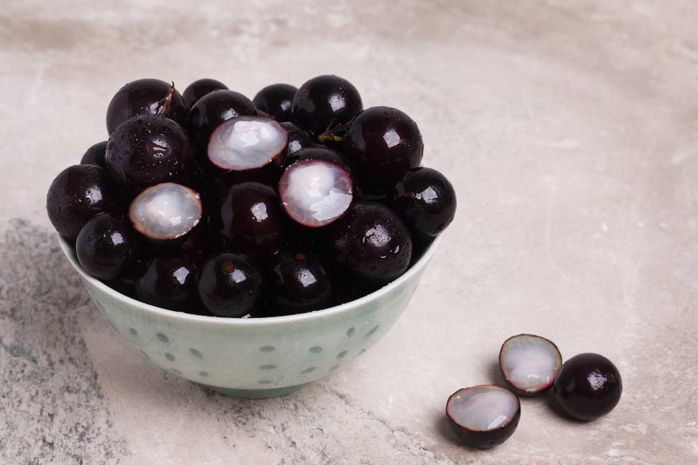 Cuidados pós-plantio de mudas de jabuticaba