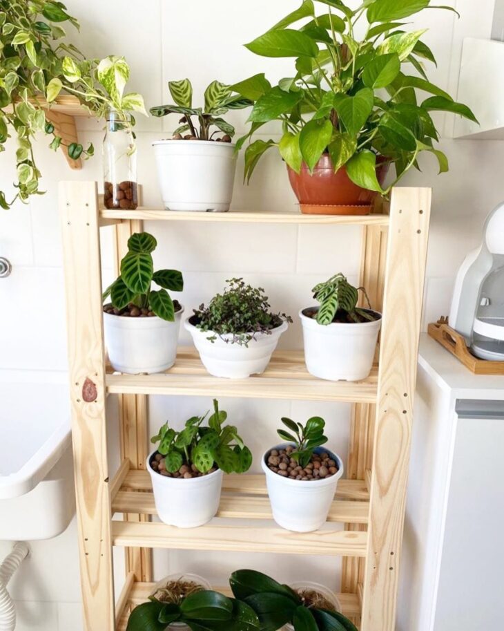 Guia Completo de Madeiras para Prateleiras de Plantas: Escolha Certa e Durabilidade