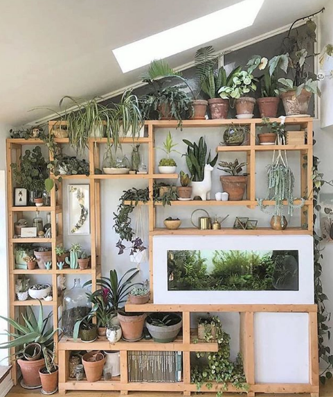 Ideias Criativas para Reutilizar Caixotes e Sapateiras em Jardins Verticais