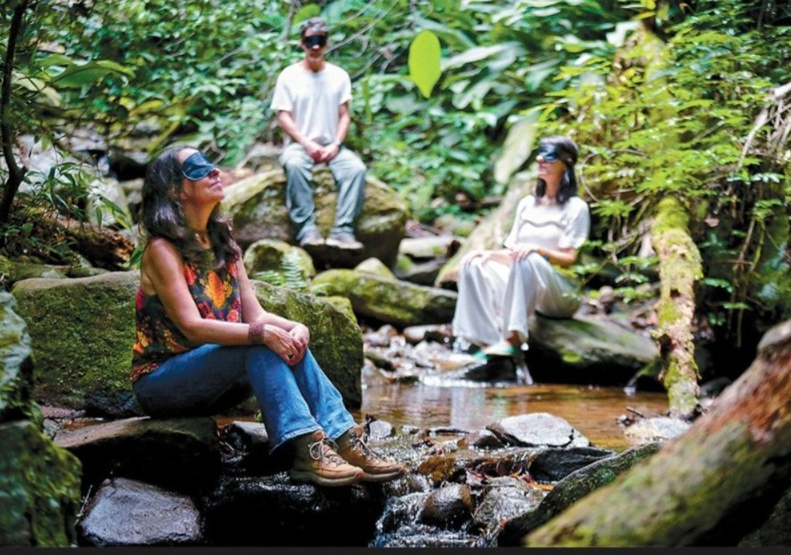 5 ideias de títulos:
1. Banho de Floresta: Guia Completo para Iniciantes
2. Os 7 Benefícios Comprovados do Shinrin-Yoku para sua Saúde
3. Como Integrar o Banho de Floresta na sua Rotina de Bem-Estar
4. Encontre o Local Perfeito para seu Banho de Floresta: Dicas e Recomendações
5. Shinrin-Yoku: A Ciência por Trás da Cura pela Natureza